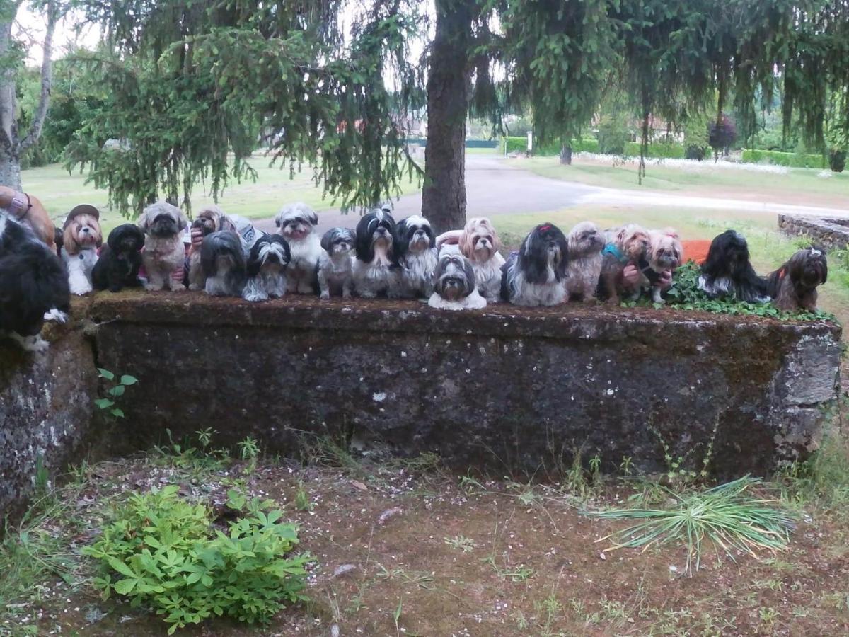 Hotel Du Parc Thonac Zewnętrze zdjęcie